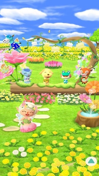 Animal Crossing: Pocket Camp C